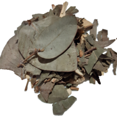 Eucaliptus 30 gr
