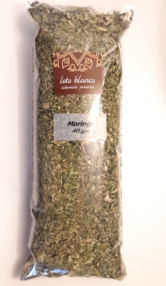 Moringa - comprar online
