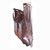 Art 270 gold rose - comprar online