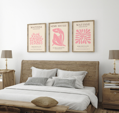 Cuadros Matisse Rose Set x 3