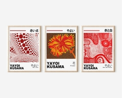 Cuadros Yayoi Kusama set x3