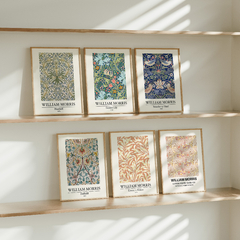 Set x 6 Cuadros William morris