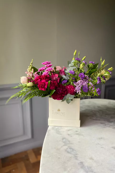 Cachepô Voyage - comprar online