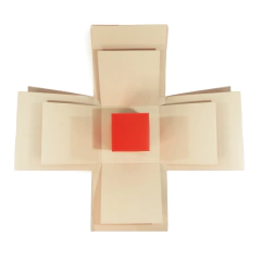 Caixa explosiva para montar - comprar online