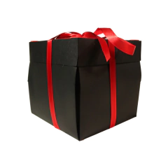 Caixa Explosiva Com tampas para montar