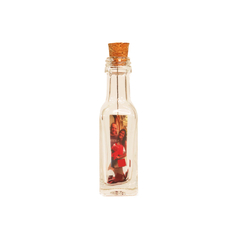 Garrafinhas do Amor - Garrafas, Fotos, Presente, Lembrancinhas, Lembranças - comprar online