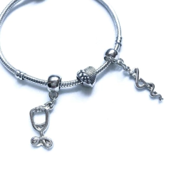 Pulseira + Berloques Medicina - comprar online