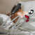 Plug Anal De Inox Com Corrente - comprar online