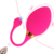 Vibrador Golfinho 15x4cm Com Controle Remoto Em Forma de Ovo Pompoarismo - Sexshop Prazer Absoluto - Atacado e Varejo Com Frete Grátis |Recomendado|