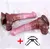 Imagem do Dildo de Cavalo de 24cm em Silicone