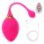Vibrador Golfinho 15x4cm Com Controle Remoto Em Forma de Ovo Pompoarismo - comprar online