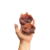 Focinho de Porco Luv - comprar online