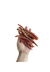 Filezinho de Porco Luv - comprar online
