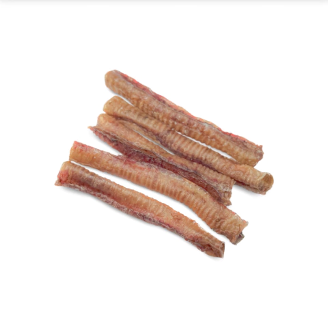 Traqueia de Carneiro Luv