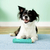 Kong Crackle Stick - comprar online