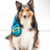 Outward Hound Invincibles pelúcia de cobra azul para cães, grande, Large - Pet Zo