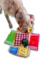 Cesta de Piquenique de Fuçar - Pet Zo