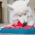 Tabuleiro Nina Ottosson Dog Brick - comprar online