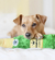 Happy Hour Champanhe Zippy Paws na internet