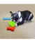 Kong Quest Wishbone Roxo G na internet