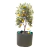 Maceta de Tela Geotextil - Cultivo- Huerta- Grow - 10L - 20L - 30L- 40L -60L -80L