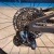 Bicicleta Mtb Scott Spark Rc Team Issue AXS en internet