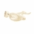 ANTIPARRA UNIBODY (BLANCO)