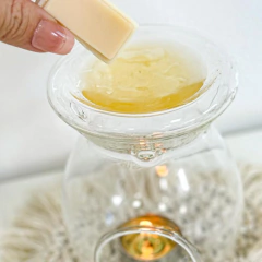 Rechaud de vidro - comprar online