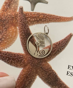 Imagem do Pingente/Berloque Ciências Biológicas prateado