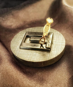 Primeiro Anel Solitário de DNA dourado - loja online