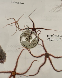 Pingente/Berloque Ciências Biológicas prateado - Hela Jóias da Ciência