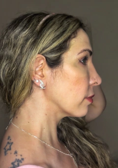 Brinco Microscópio 2D prateado na internet