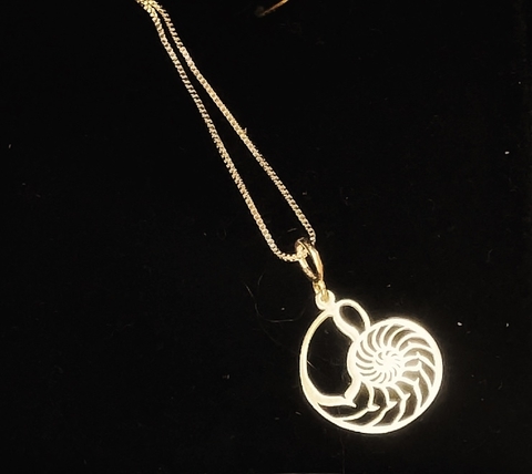 Pingente/Berloque Concha Nautilus prateado