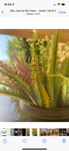 Imagem do Pingente/Berloque DNA 2D dourado