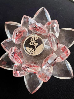 Pingente/Berloque Ciências Biológicas prateado