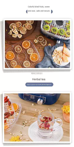 Mini Desidratador de Alimentos - Planeta Detox
