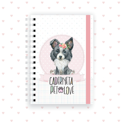 Caderneta pet dog border collie na internet