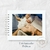 Álbum para Fotos - Coleção Clássica - 001 - Melunins