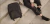 Banner de MOMA