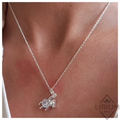 conjunto Teddy #C24 en internet