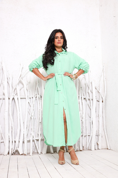 CHEMISE LUCIANA SLIM CORES LISAS - comprar online