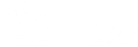 Chique Baby Fraldas Ecoprodutos