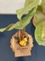 cartão kraft felicidades com buquê de flores secas