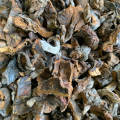Cogumelo Funghi Chileno Seco