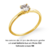 #FLASH - Par de alianças Sonho | Prata 950 folheada a Ouro 18K - Macchi | Alianças para todas as formas de amor