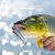 MARINE SPORTS BRAVA 90 - comprar online