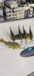 LLAVERO DORADO - LITORAL PESCA