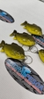 LLAVERO PACU en internet