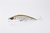 X-FISH INNU 140 en internet