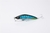 X-FISH INNU 140